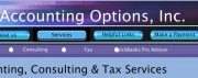 Accounting Options, Inc.