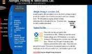 Albright Persing & Associates, Ltd.