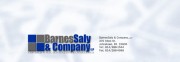 Barnes, Saly & Company, LLP