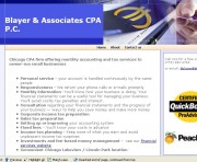 Blayer & Associates CPA P.C.
