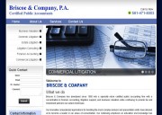 Briscoe & Company, P.A.