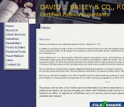 David J. Bailey & Co., P.C.