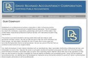 David Schnaid Accountancy Corporation