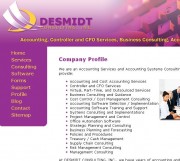 DeSmidt Consulting, Inc.