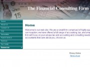 The Financial Consulting Firm