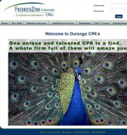 FredrickZink & Associates, CPAs