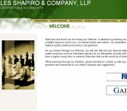 Les Shapiro & Company, LLP