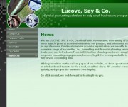 Lucove Say & Co.