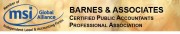 MSI Barnes & Associates