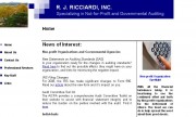 R.J. Ricciardi, Inc. Certified Public Accountants