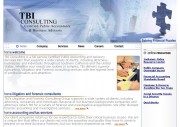 TBI Consulting, Inc