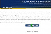 Tice, Gardner & Fujimoto CPAs